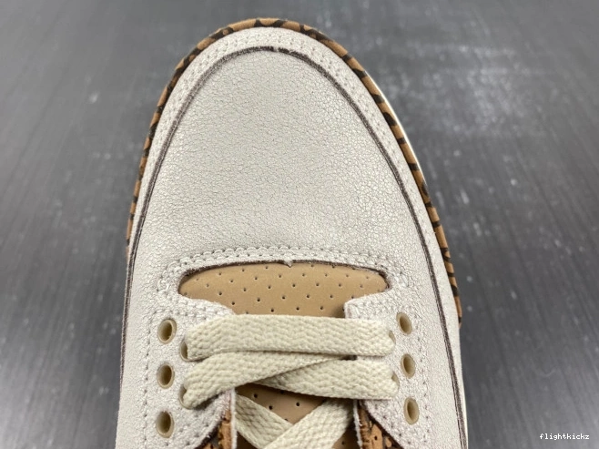 CT8532-102 3 Palomino Jordan Air 1010